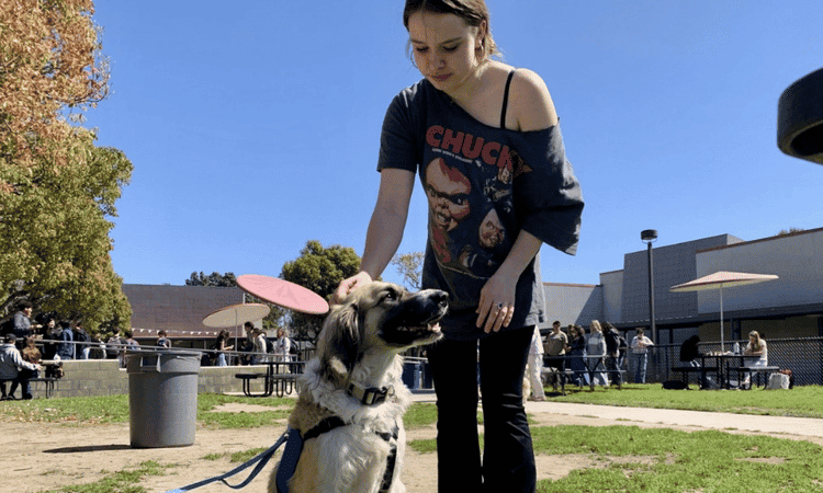 Therapy Dog Visits